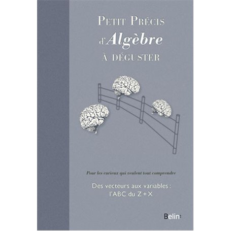 Petit précis d'algèbre à déguster