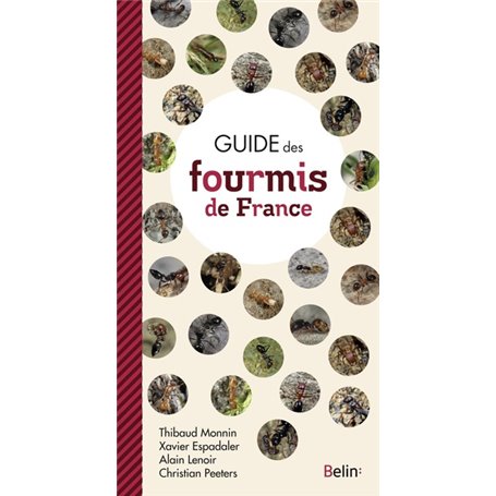 Guide des Fourmis de France