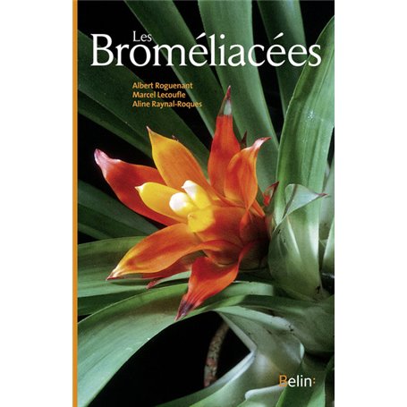 Les Broméliacées