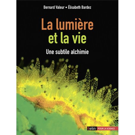 La lumière et la vie