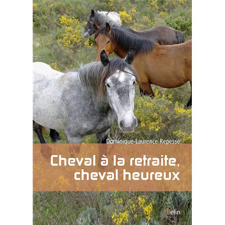 Cheval à la retraite, cheval heureux