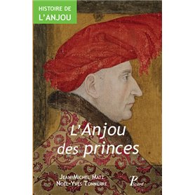 Histoire de l'Anjou. T. 2 : l'Anjou des Princes