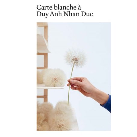 Carte blanche à Duy Anh Nhan Duc