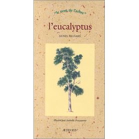 L'Eucalyptus