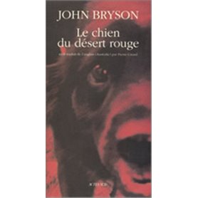 Le chien du désert rouge