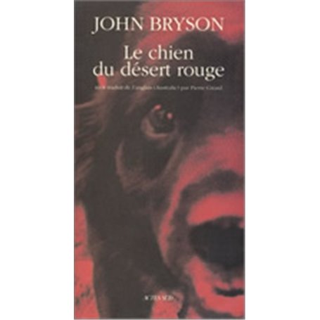 Le chien du désert rouge