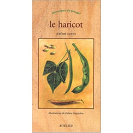 Le Haricot