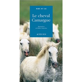 Le Cheval Camargue