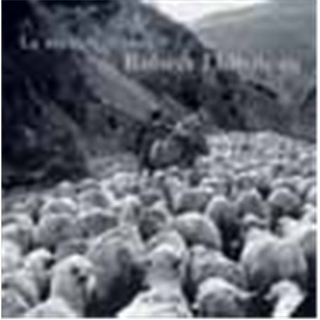 La Transhumance