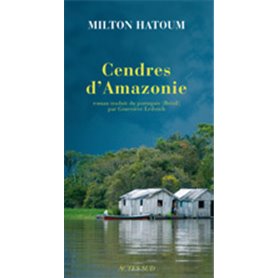 Cendres d'Amazonie