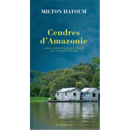 Cendres d'Amazonie