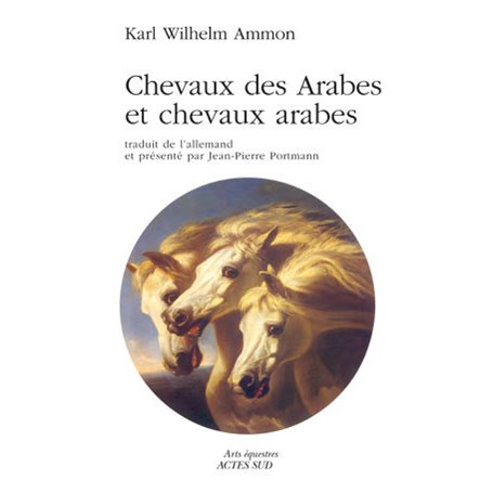 Chevaux des arabes et chevaux arabes