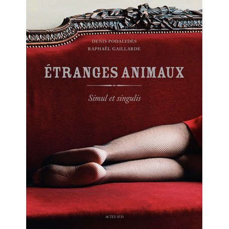 Etranges animaux