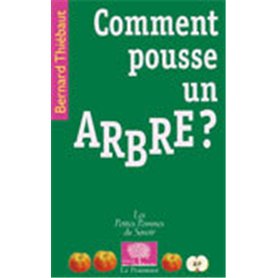 Comment pousse un arbre ?