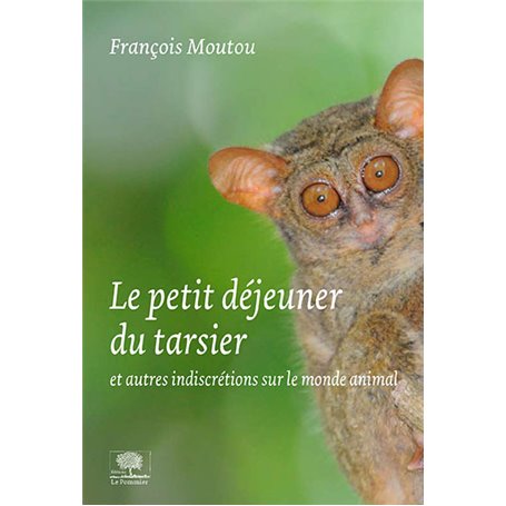 Le petit déjeuner du tarsier