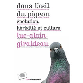 Dans l'oeil du pigeon