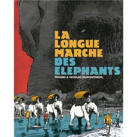 La longue marche des éléphants