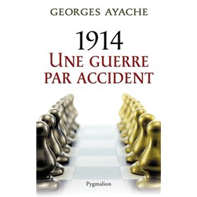 1914 une guerre par accident