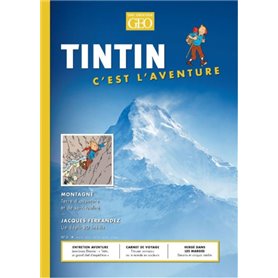 Tintin - C'est l'aventure 3