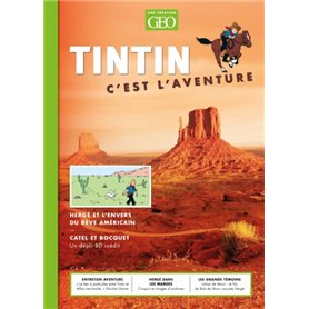 Tintin - C'est l'aventure 4