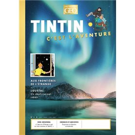 Tintin - C'est l'aventure 6