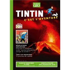 Tintin - C'est l'aventure 9
