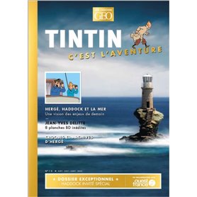 Tintin - C'est l'aventure 10