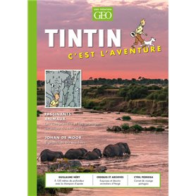 Tintin - C'est l'aventure 11