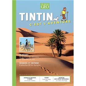 Tintin - C'est l'aventure 13