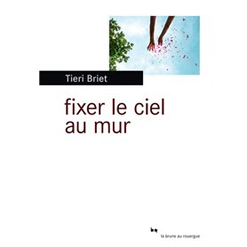 Fixer le ciel au mur