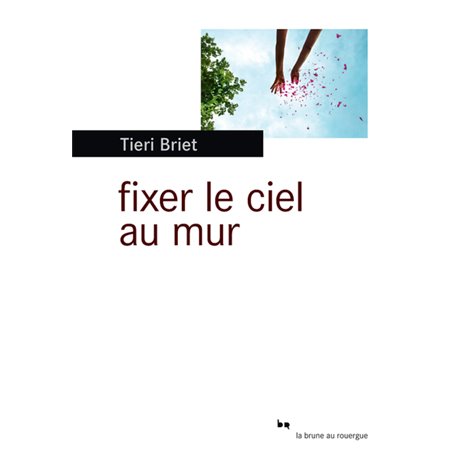 Fixer le ciel au mur