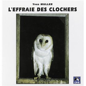 L'Effraie des clochers