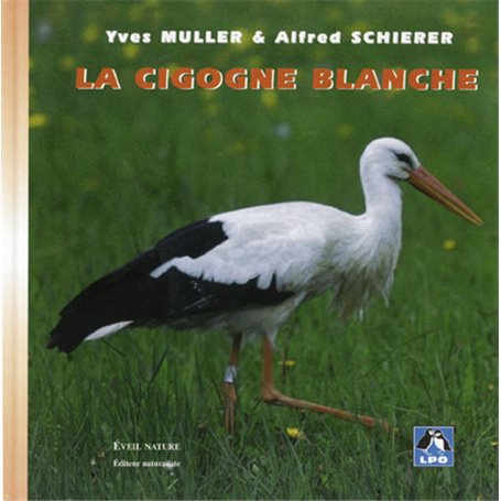 La Cigogne blanche