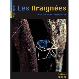 Les araignées