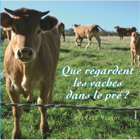 Que regardent les vaches dans le pré ?