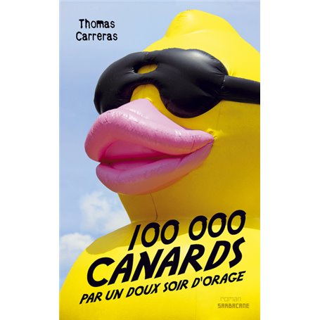 100 000 canard par un doux soir d'orage