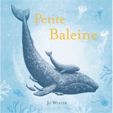 petite baleine