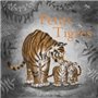 petits tigres