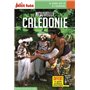 Guide Nouvelle-Calédonie 2018 Carnet Petit Futé