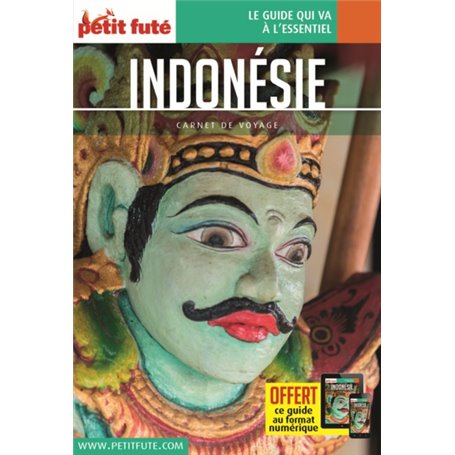 Guide Indonésie 2018 Carnet Petit Futé