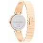 Montre Femme Calvin Klein 25200308