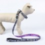 Collier pour Chien Disney Gris