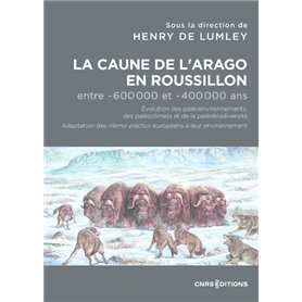 La Caune de l'Arago en Roussillon entre -600 000 et -400 000 ans - Les Homo Erectus européens dans l