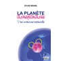 La Planète disneylandisée. Pour un tourisme responsable