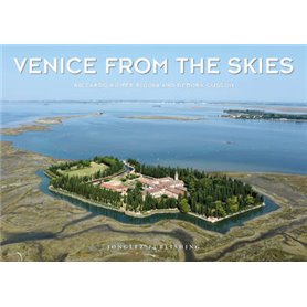 Venice from the skies