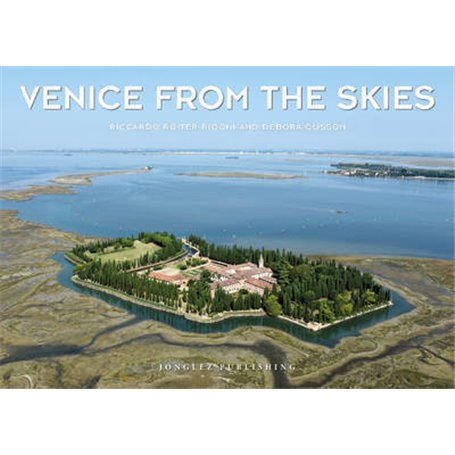 Venice from the skies