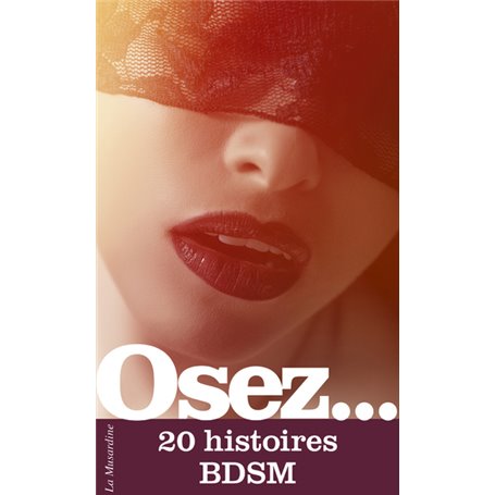 Osez 20 histoires BDSM