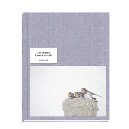 Des oiseaux Rinko Kawauchi - version anglaise