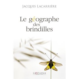 Le géographe des brindilles