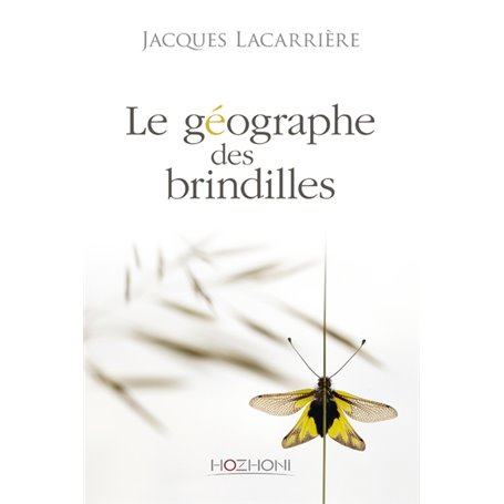 Le géographe des brindilles